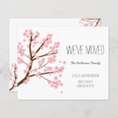 Budget Cherry Blossom Sakura Tree We hebben verhui (Voorkant / Achterkant)