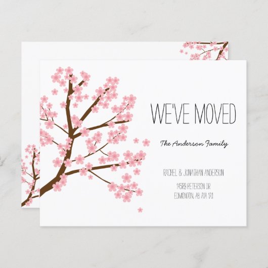 Budget Cherry Blossom Sakura Tree We hebben verhui (Voorkant / Achterkant)