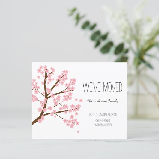 Budget Cherry Blossom Sakura Tree We hebben verhui (Staand voorkant)