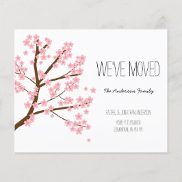 Budget Cherry Blossom Sakura Tree We hebben verhui