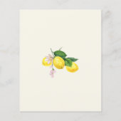 Budget Citroen Citrus Zomer Baby shower Invitation (Achterkant)