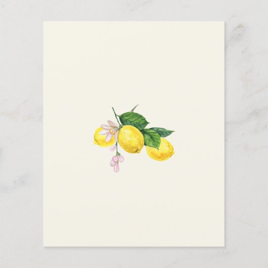 Budget Citroen Citrus Zomer Bruiloft Uitnodiging (Achterkant)