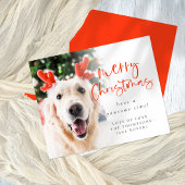 Budget Custom Pet Photo Merry Kerstmis Kaart