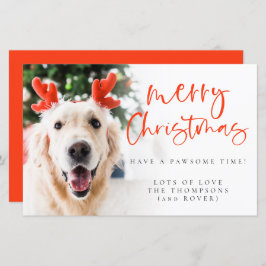 Budget Custom Pet Photo Merry Kerstmis Kaart