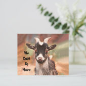 Budget Cute Goat Bewegend Nieuw Adres (Staand voorkant)