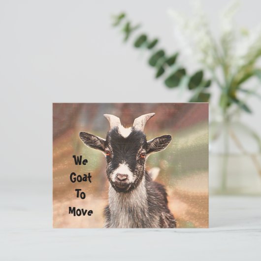 Budget Cute Goat Bewegend Nieuw Adres (Staand voorkant)