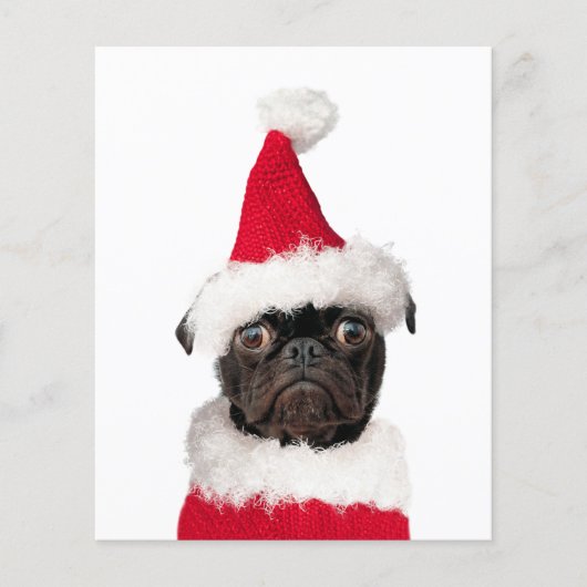Budget Cute Kerstpap Puppy Santa (Voorkant)