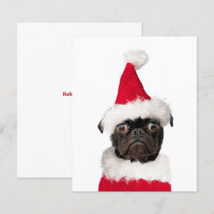 Budget Cute Kerstpap Puppy Santa