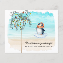 Budget Cute Penguin on Beach New Home Holiday Kaar
