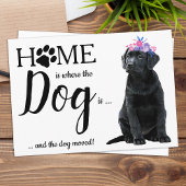 Budget Cute We hebben de 'Dog Moving Announcement'
