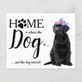 Budget Cute We hebben de 'Dog Moving Announcement' (Voorkant)