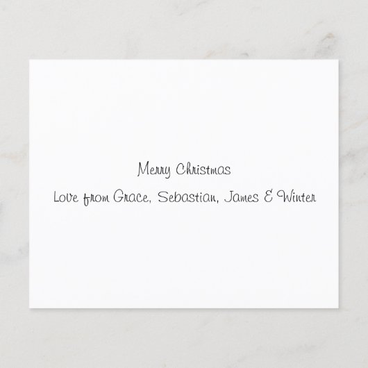 BUDGET Dachshund through the Snow (Achterkant)