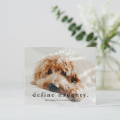 Budget Define Naughty Funny Pet Kerstmis Kaart (Staand voorkant)