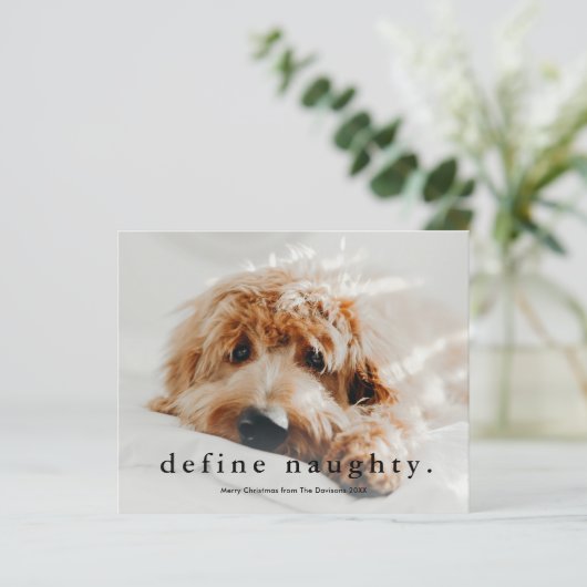 Budget Define Naughty Funny Pet Kerstmis Kaart (Staand voorkant)