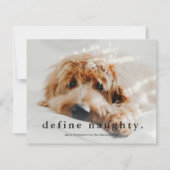 Budget Define Naughty Funny Pet Kerstmis Kaart (Voorkant)