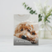 Budget Define Naughty Funny Pet Kerstmis Kaart (Staand voorkant)