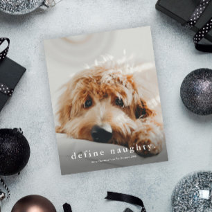 Budget Define Naughty Funny Pet Kerstmis Kaart