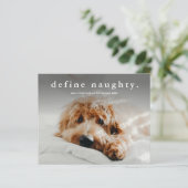 Budget Define Naughty Funny Pet Kerstmis Kaart (Staand voorkant)