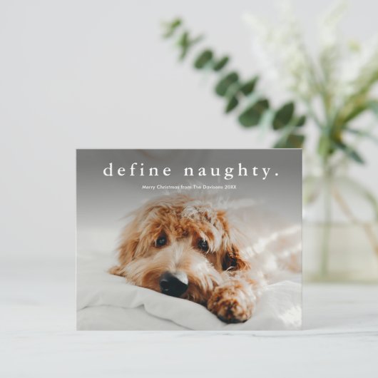 Budget Define Naughty Funny Pet Kerstmis Kaart (Staand voorkant)
