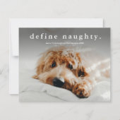 Budget Define Naughty Funny Pet Kerstmis Kaart (Voorkant)
