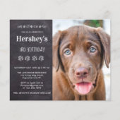Budget Dog Birthday Puppy Custom Photo Invitation (Voorkant)