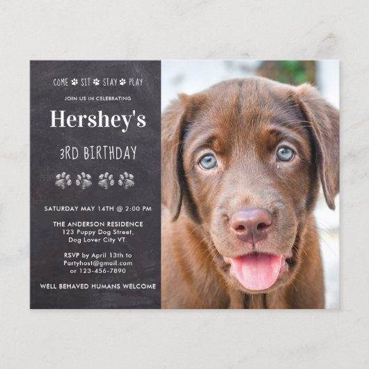 Budget Dog Birthday Puppy Custom Photo Invitation (Voorkant)
