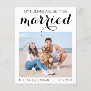 Budget Dog Wedding Foto bewaart de datum Uitnodigi