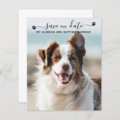 Budget Dog Wedding Pet Foto bewaart datumkaarten (Voorkant / Achterkant)