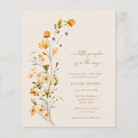 BUDGET Een beetje pompoen is onderweg naar het Bab Flyer (Voorkant)