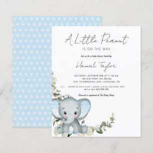Budget Elephant Boy Baby shower Uitnodiging