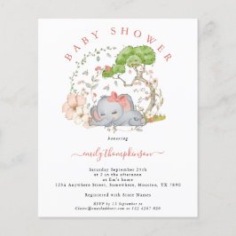 Budget Elephant Coral Girl Baby shower