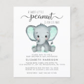 Budget Elephant Mint Baby shower per post nodigt u (Voorkant)
