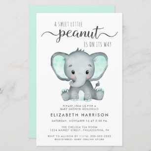 Budget Elephant Mint Baby shower Uitnodiging