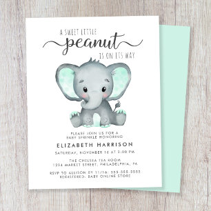 Budget Elephant Mint Baby Sprinkle Uitnodiging