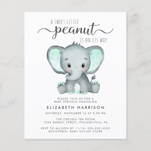 Budget Elephant Mint Baby Sprinkle Uitnodiging (Voorkant)