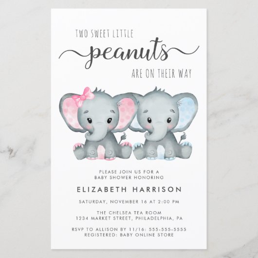 Budget Elephant Twin Boy Girl Baby shower nodigt u (Voorkant)