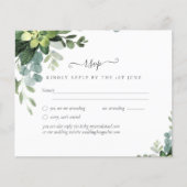 BUDGET Eucalyptus Groene Huwelijk (Voorkant)