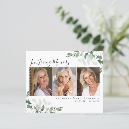 BUDGET Eucalyptus in het liefhebben van geheugen H (Staand voorkant)