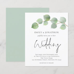 BUDGET Eucalyptus Script Weddenschap