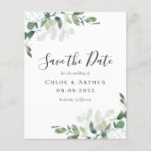 BUDGET Eucalyptus Waterverf Weddenschap sparen de (Voorkant)