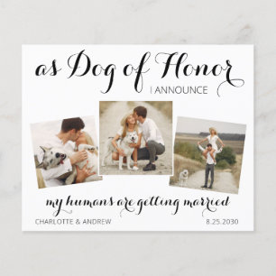 Budget Foto Collage Pet Wedding Save the Date