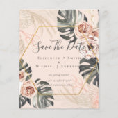 BUDGET Foto Sla Data op PAMPAS Koraal Tropisch Flyer (Voorkant)