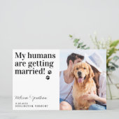 Budget foto Weddenschap Pet Dog bespaart datumkaar (Staand voorkant)
