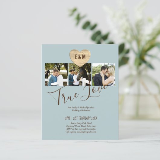 BUDGET Fotobruiloft nodigt aankondiging van opslag (Staand voorkant)