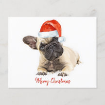 Budget French Bulldog Kerstpuppy Dog Holiday