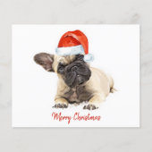 Budget French Bulldog Puppy Kerstmis Cute Dog (Voorkant)