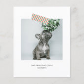 Budget Fun Gestreepte Tape Kerst Foto (Voorkant)