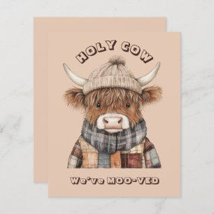 Budget Fun Highland Koe Cream Nieuw Adres