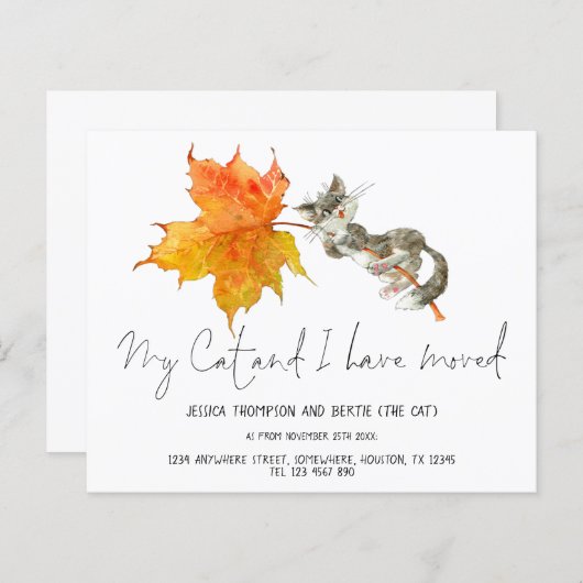 Budget Fun My Cat I heeft Script New Home verplaat (Voorkant / Achterkant)