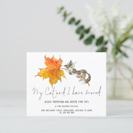 Budget Fun My Cat I heeft Script New Home verplaat (Staand voorkant)